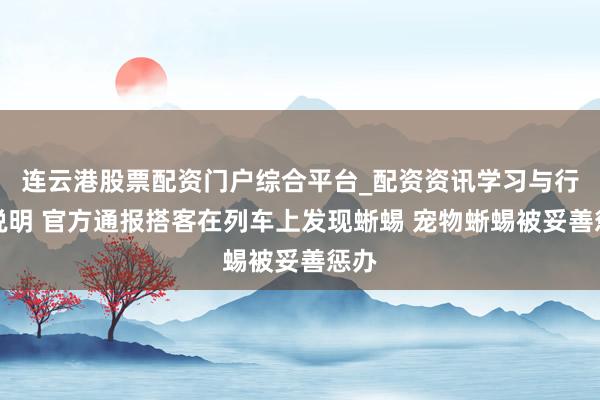 连云港股票配资门户综合平台_配资资讯学习与行情说明 官方通报搭客在列车上发现蜥蜴 宠物蜥蜴被妥善惩办